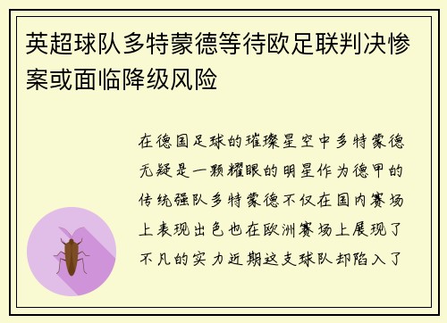 英超球队多特蒙德等待欧足联判决惨案或面临降级风险